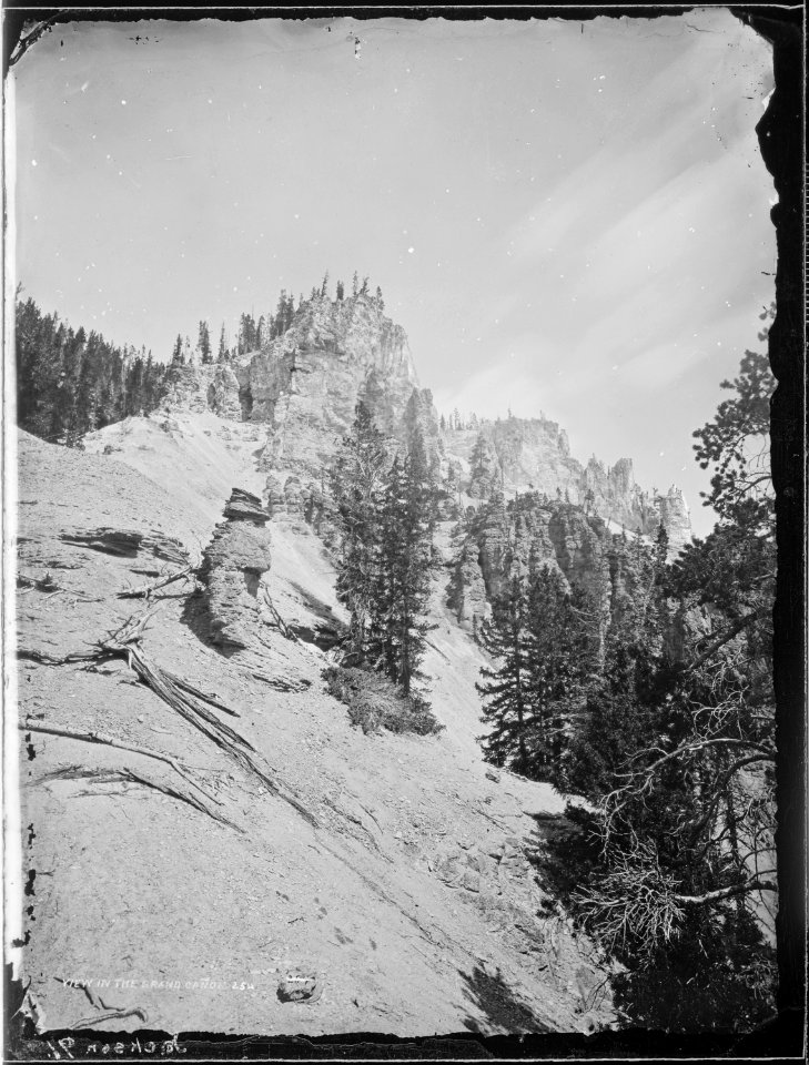 View in the Grand Canyon of the Yellowstone - NARA - 516698