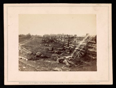View in the field, the west side of the Hagerstown Road, after the Battle of Antietam LCCN2014646930