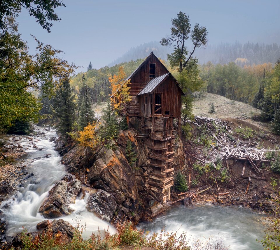 Trees stream water