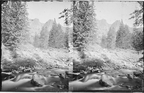 View in the upper canyon of Middle Creek. Gallatin County, Montana. - NARA - 517473
