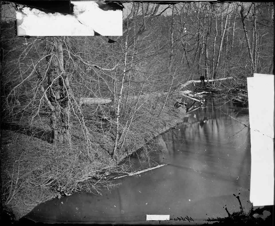 View in Wilderness - NARA - 528789