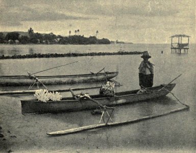 View in front of the Clement Lindley Wragge's bungalow, Patutoa, Tahiti