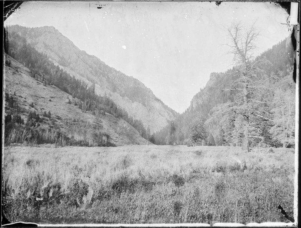 View looking up toward the Middle Canyon of the Madison, from below. Gallatin County, Montana. - NARA - 516839