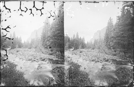 View in the upper canyon of Middle Creek. Gallatin County, Montana. - NARA - 517474