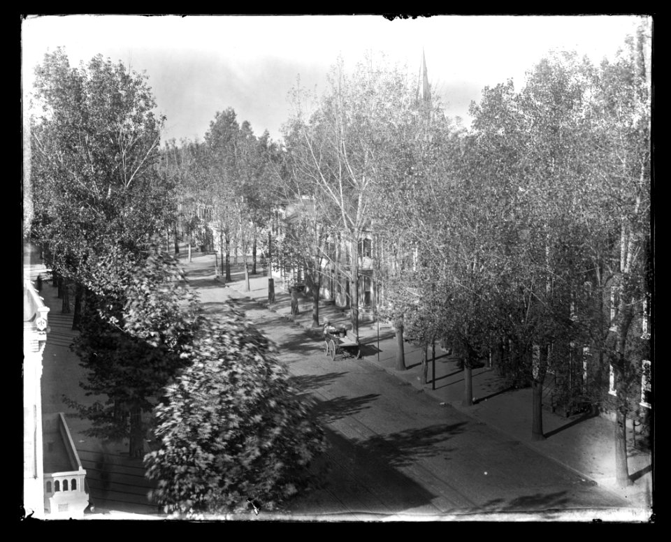 View of 7th Street, S.W., between I & H, looking West to Northwest showing row houses obscured by tree lined street and steeple of St. Dominic's partially visible LCCN2016647116