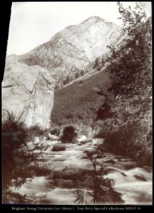 View near the stairs, Big Cottonwood Canon R.G. Savage Photo.