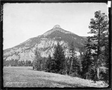 View near the mouth of West Gallatin Canyon. Gallatin County, Montana. - NARA - 516831