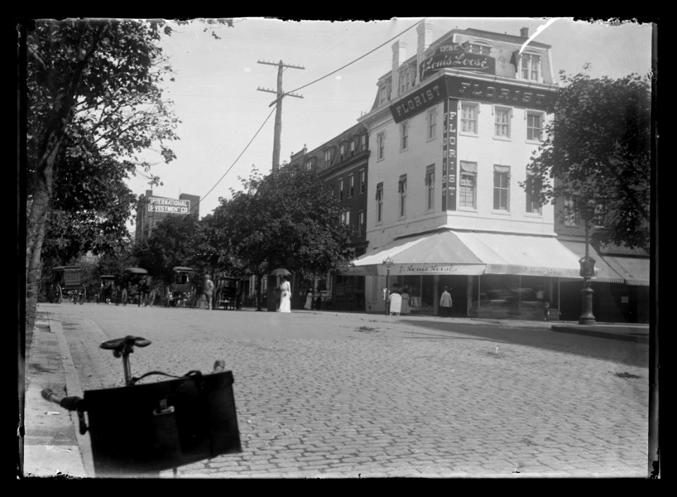 View of 13th Street, N.W., East side, looking North from F Street showing J. Louis Loosi's Florist on the corner LCCN2016646849