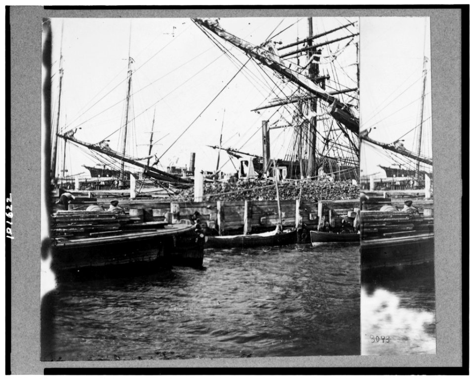 View of boats and ships at wharf, Charleston, South Carolina LCCN90713000