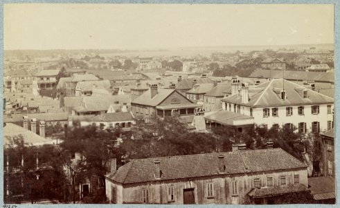 View of Charleston, South Carolina LCCN2014645941