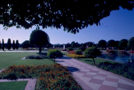 View of Garden at Rashtrapati Bhavan, Official Residence of President of India Dr. Rajendra Prasad (3)