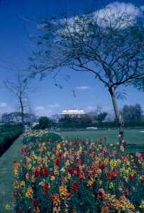 View of Garden at Rashtrapati Bhavan, Official Residence of President of India Dr. Rajendra Prasad (4)