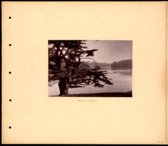 View of Lake photo