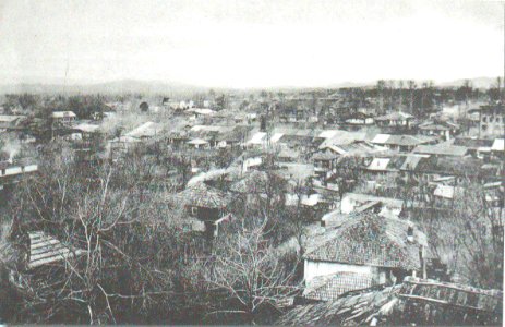 View of Ozurgeti Ermakov