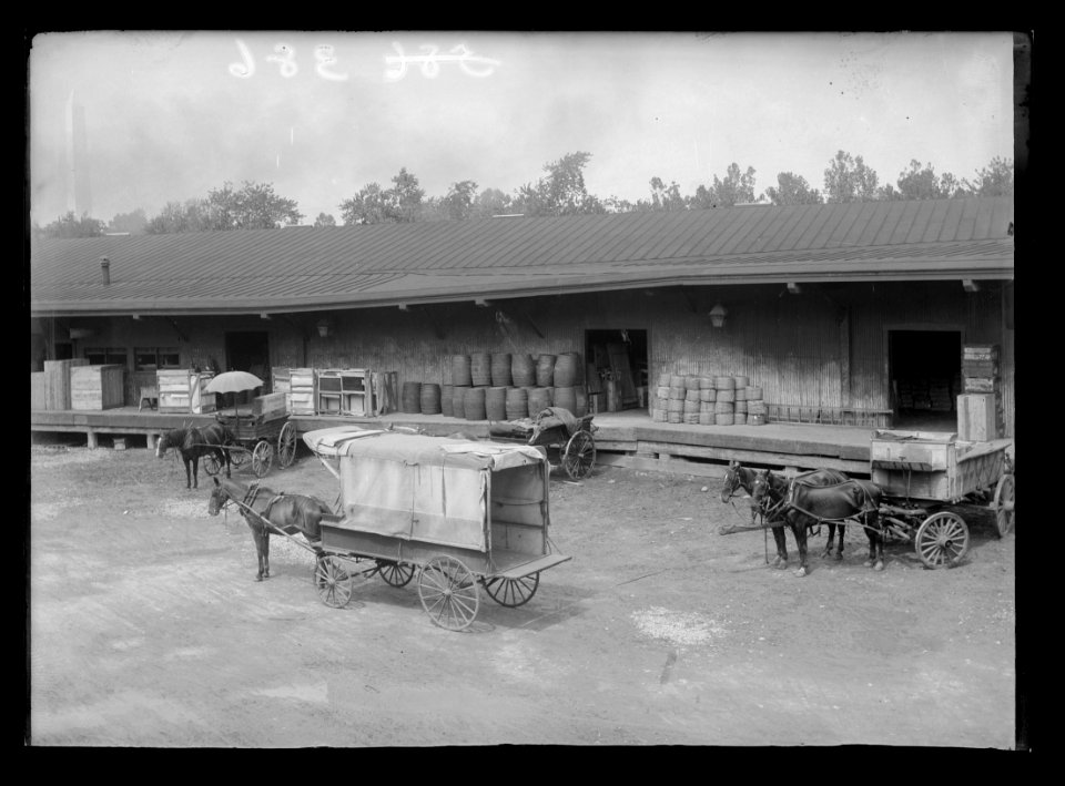 View of S.W., block 386, probably D Street side of Baltimore & Potomac Railroad freight station between Maryland & D, 9th & 10th showing freight and horse-drawn carts in front of station LCCN2016647081