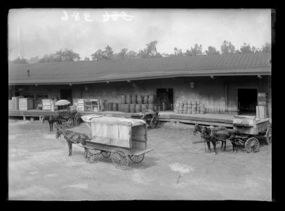 View of S.W., block 386, probably D Street side of Baltimore & Potomac Railroad freight station between Maryland & D, 9th & 10th showing freight and horse-drawn carts in front of station LCCN2016647081