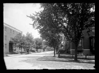 View of side angle of row houses on unidentified tree lined street LCCN2016647128 photo