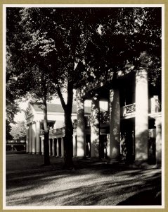 View of the Lawn University of Virginia Charlottesville Virginia by Frances Benjamin Johnston
