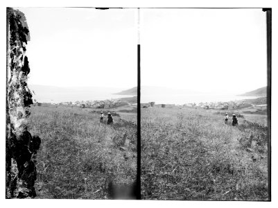 View of Tiberias LOC matpc.10590