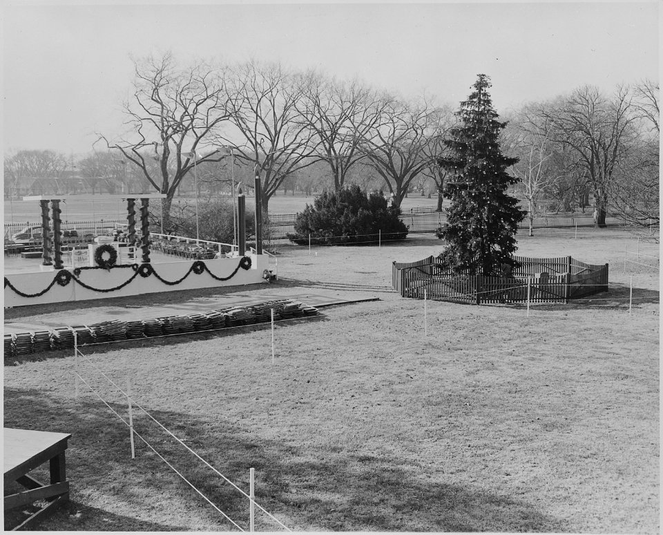 View of White House Christmas tree and empty podium prior to the start of the ceremony for the lighting of the White... - NARA - 199662 photo