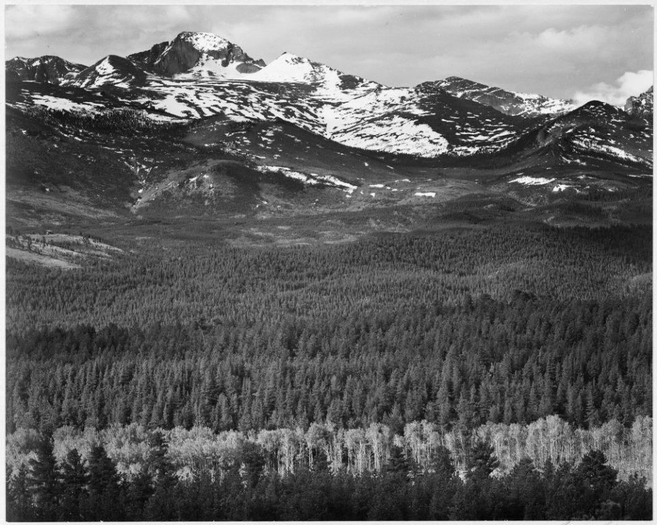 View of trees and snow-capped mountains, Long's Peak from Road, Rocky Mountain National Park, Colorado, 1933 - 1942 - NARA - 519954