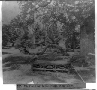 View on Oak Knoll Farm, near Napa, Napa County LCCN2002723807
