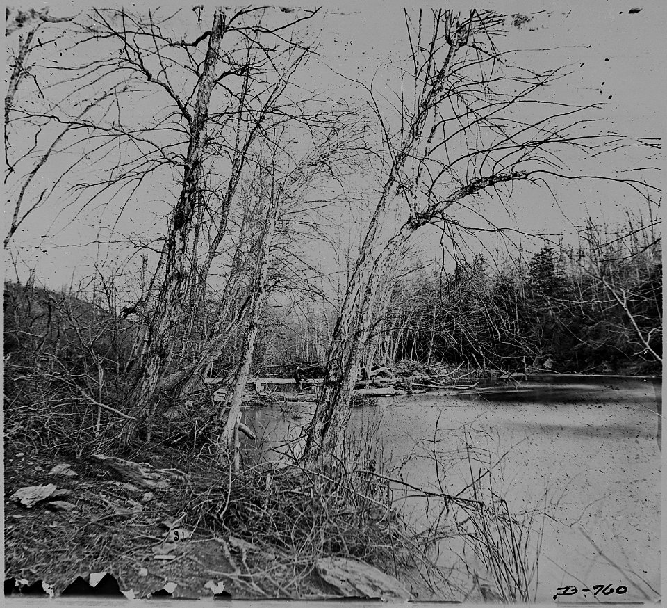 View of Wilderness, Virginia (4172405262)