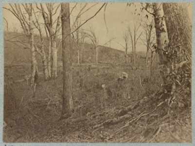 View on Bull Run. March, August 1862 LCCN2012647817