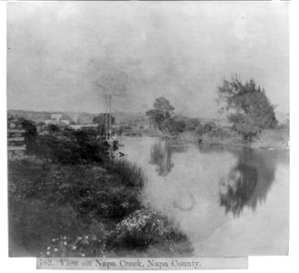 View on Napa Creek, Napa County LCCN2002719289
