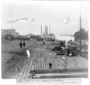 View on the Levee at Stockton, San Joaquin County LCCN2002723008