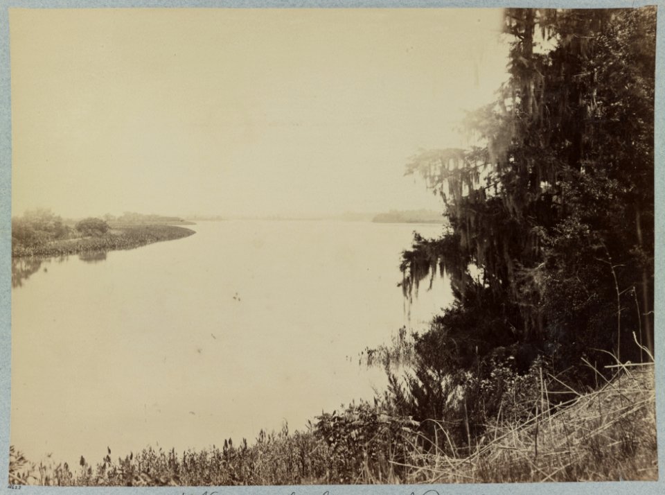 View on the Savannah River LCCN2012649049