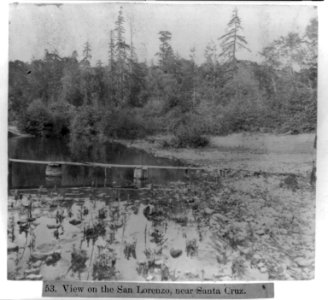 View on the San Lorenzo, near Santa Cruz LCCN2002721054