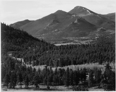 View with trees in foreground, barren mountains in background, In Rocky Mountain National Park, Colorado, 1933 - 1942 - NARA - 519971