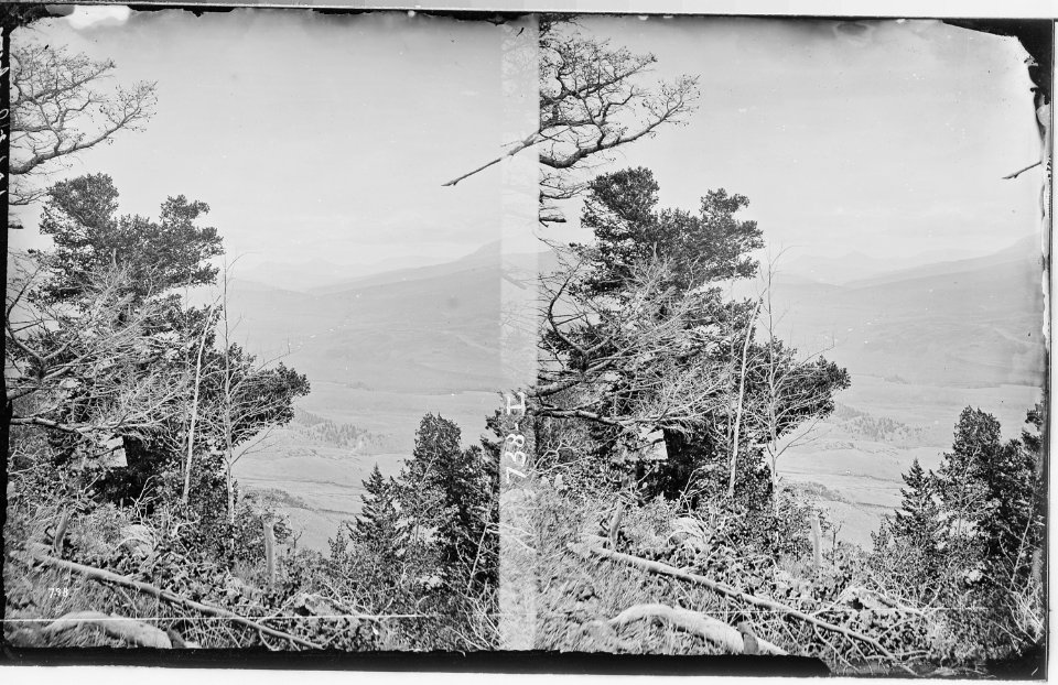 View on the Blue near Mount Powell, looking up. Summit County, Colorado. - NARA - 517548