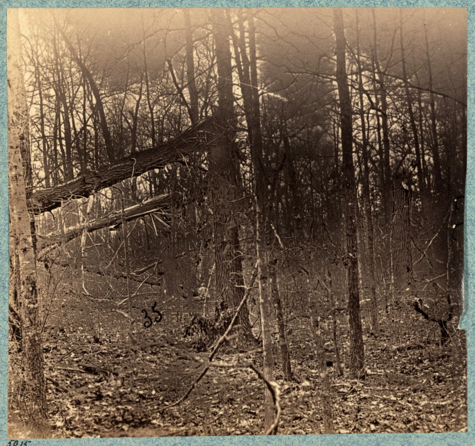 Views in the woods between Palmers and Spotswoods Houses at point where Federals carried Confederate entrenchments LCCN2009634250