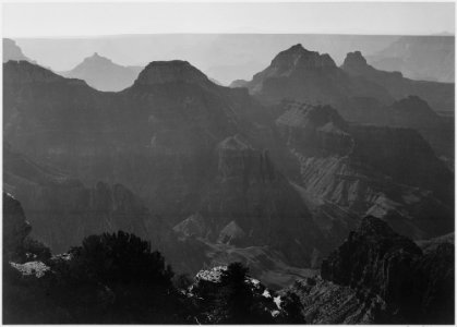 View with shrub detail in foreground, Grand Canyon National Park, Arizona., 1933 - 1942 - NARA - 519880 photo