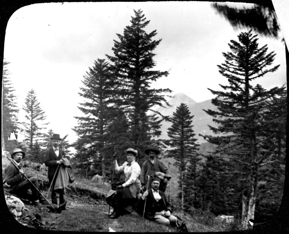 View through conifers of Puy Griou or Puy Mary YORYM-TA0393