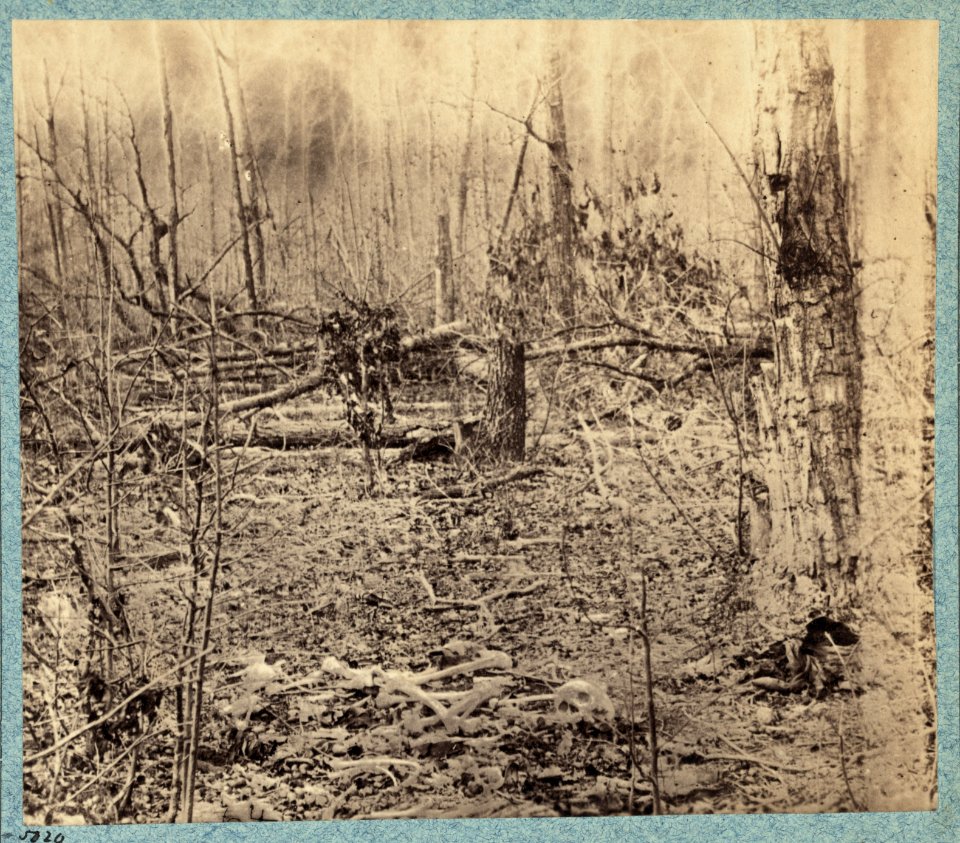 Views in the woods in the Federal lines on north side of Orange Plank Road LCCN2009634196