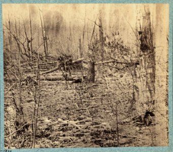 Views in the woods in the Federal lines on north side of Orange Plank Road LCCN2009634196