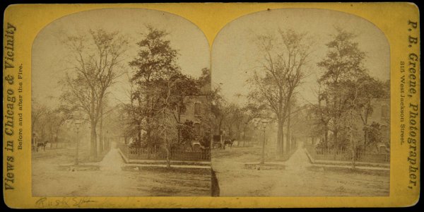 Views in Chicago & Vicinity before and after the Fire (NBY 1604)