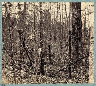 Views in the woods between Palmers and Spotswoods Houses at point where Federals carried Confederate entrenchments LCCN2009634251