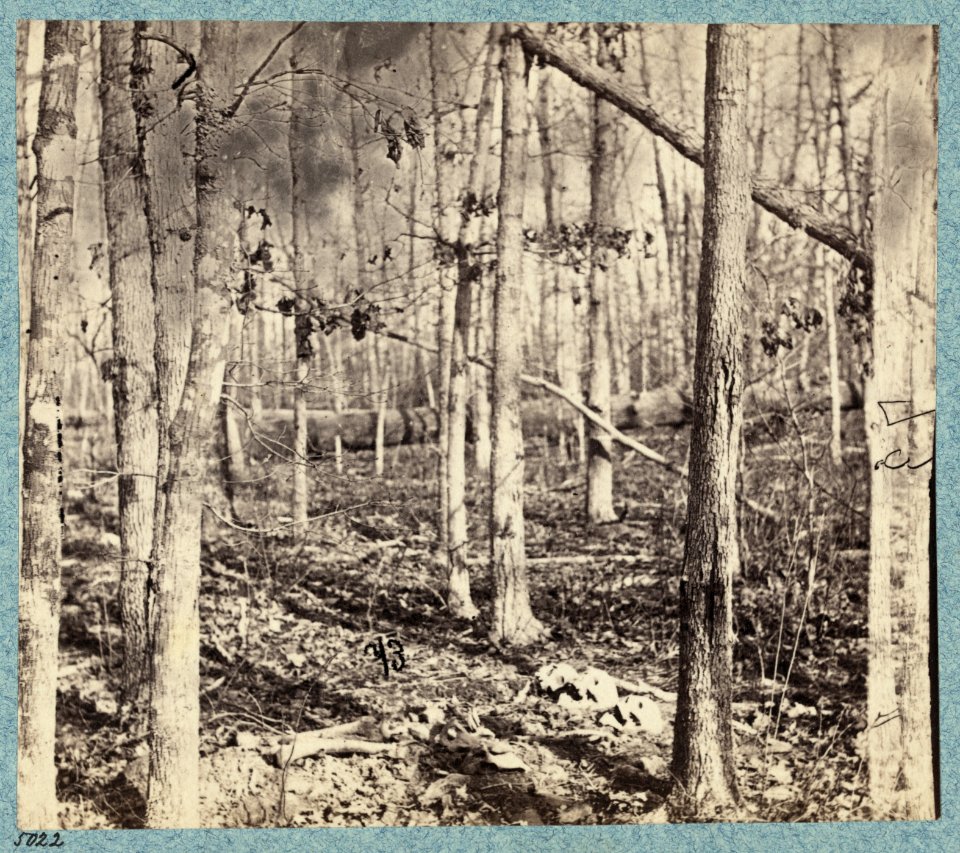 Views in the woods in the Federal lines on north side of Orange Plank Road LCCN2009634198