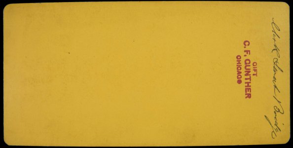Views in Chicago & Vicinity before and after the Fire, Clark Street Bridge (NBY 6570)