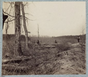 Views on the battle-field of morning of May 12th, 1864, scene of capture of Johnson's Division, C.S.A LCCN2012647734