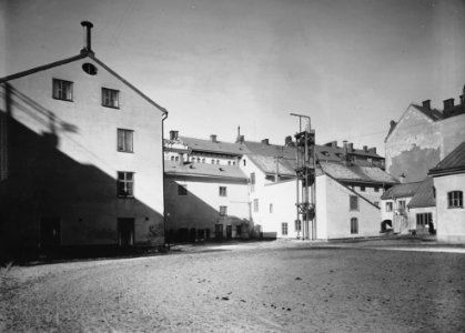 Vildsvinet, bakgården 1900