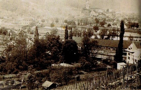 Vignes de Bregille - 1880's