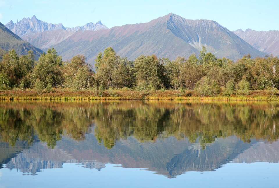 Reflection mountain forest