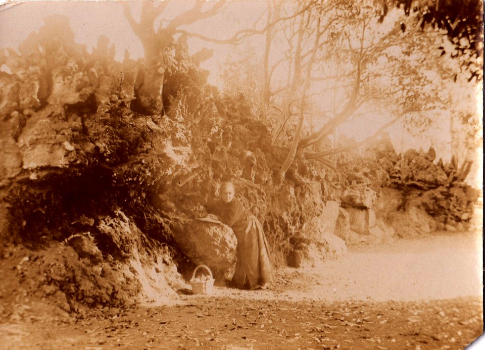 Villa Maria,Terceira, jardins, Séc. XIX, Arquivo de Villa Maria, Angra do Heroísmo, Açores
