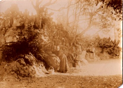 Villa Maria,Terceira, jardins, Séc. XIX, Arquivo de Villa Maria, Angra do Heroísmo, Açores