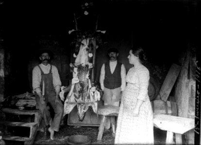 Villa Maria, Terceira, Matança do Porco,1916, Arquivo de Villa Maria, Angra do Heroísmo, Açores